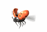 เต่าทอง ภาพเคลื่อนไหว-gif